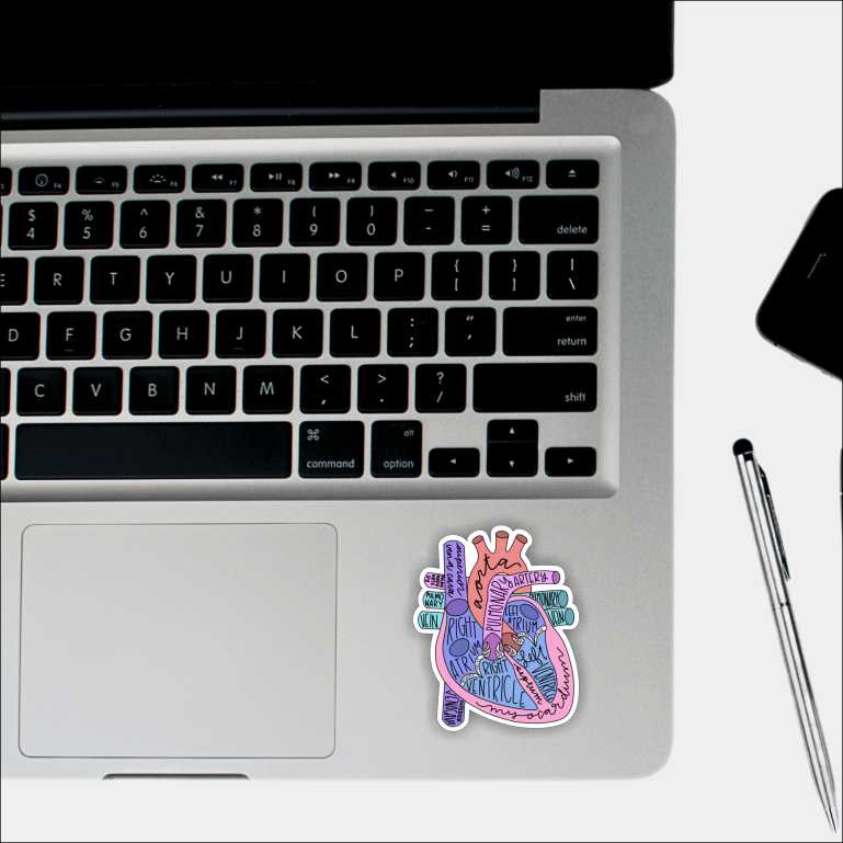 Anatomy Of Heart Sticker