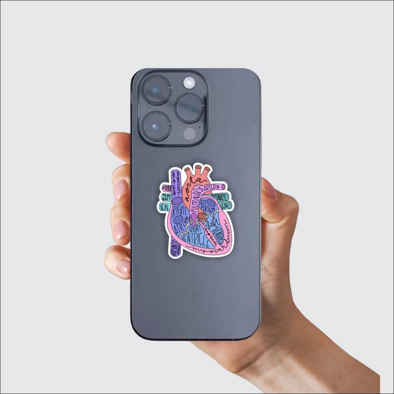 Anatomy Of Heart Sticker