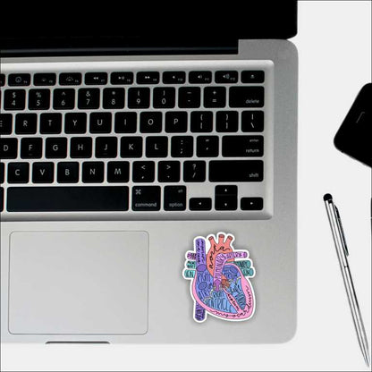 Anatomy Of Heart Sticker