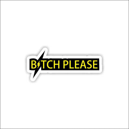Bitch Please Sticker