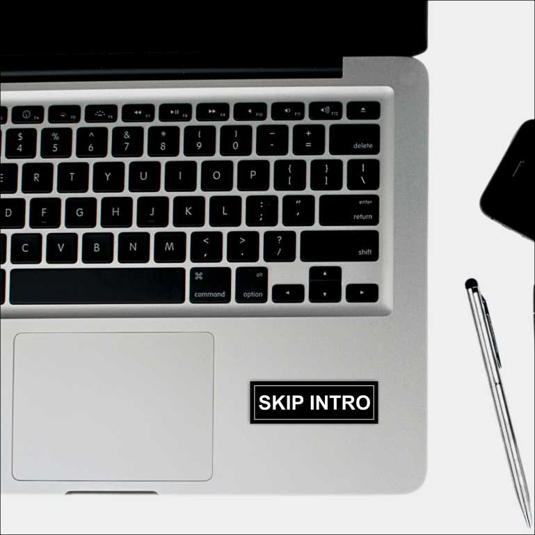 Skip Intro Sticker