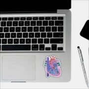 Anatomy Of Heart Sticker - Image 3