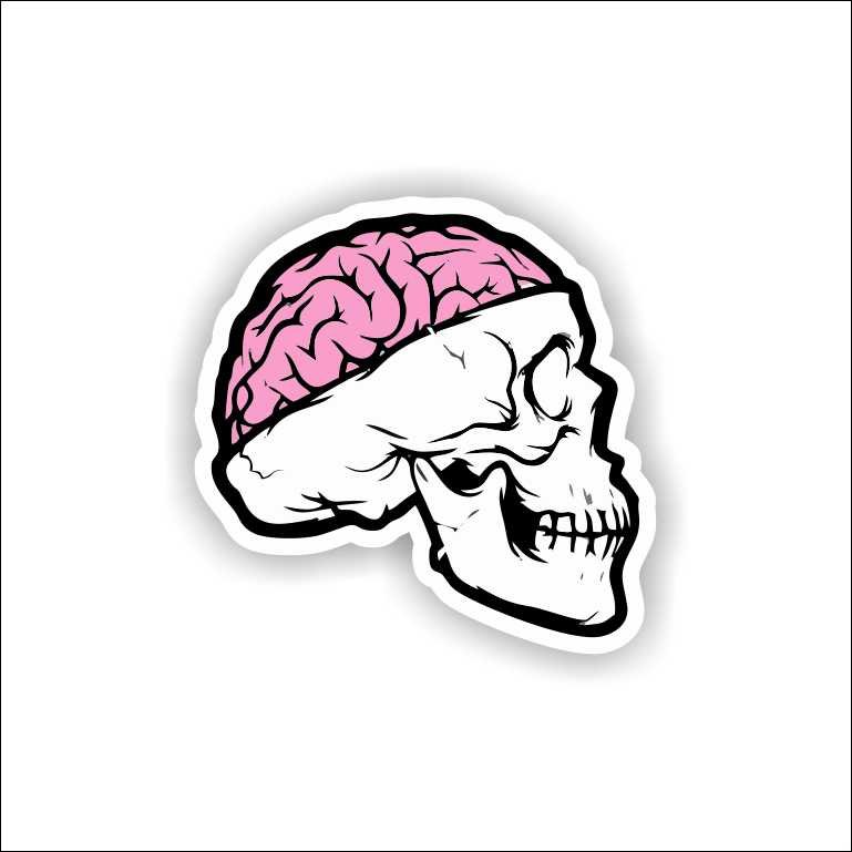 Skull With Brain Open Skull With Brain Open Sticker - Image 1