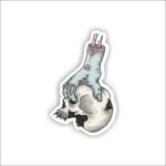 Zombie hand holding skull. Veectsy Sticker