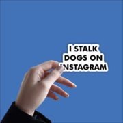 I stalk dogs on instagram Sticker - Image 2