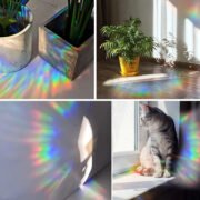 Catwatch Rainbow Maker Sticker - Image 2